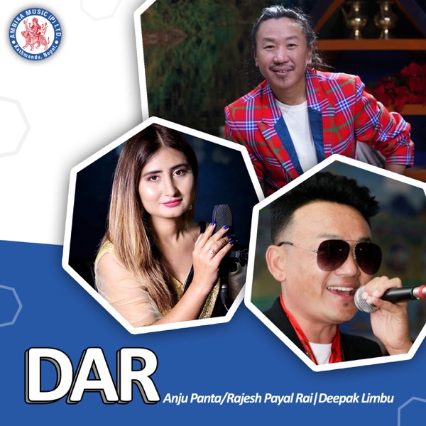 Interview with DAAR